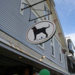 Marthas-Vineyard-travel-blogger