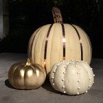 chic_halloween_pumpkins