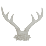 antlers